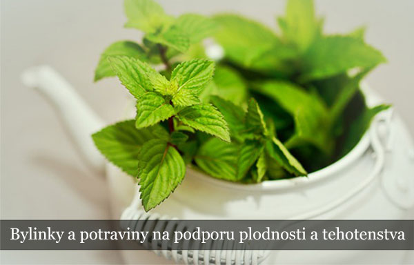 Bylinky na podporu plodnosti a tehotenstva