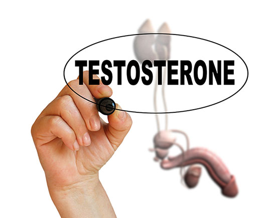Testosterón vplýva na vývoj mužských pohlavných znakov