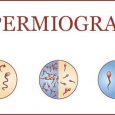 SPERMIOGRAM - všetko, čo by ste o ňom mali vedieť